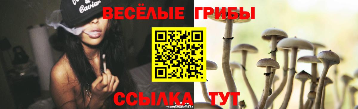 Галлюциногенные грибы Cubensis  Псилоцибиновые грибы ЛСД  купить наркотики сайты  Иваново  Вход с VPN 